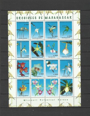 MADAGASCAR 2005 FLORI ORHIDEE foto