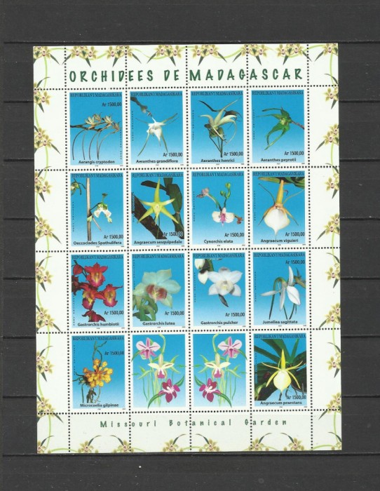 MADAGASCAR 2005 FLORI ORHIDEE