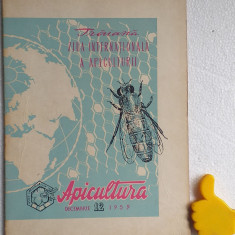 Revista Apicultura 12/1959