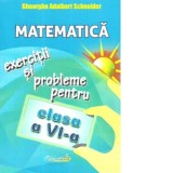 Matematica. Exercitii si probleme pentru clasa a VI-a