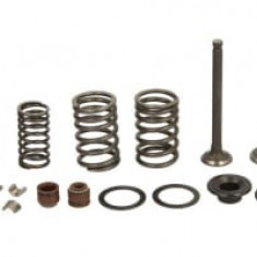 16,5/18,6mm x5mm, Steel, (oil seals; plates; set of valve springs; suction valve) 139QMB; GY6-50 compatibil: CHIŃSKI SKUTER/MOPED/MOTOROWER/ATV 4T; KY