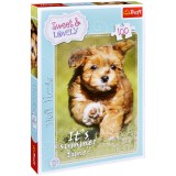 Puzzle Trefl It&amp;#039;s Summer Time, 100 piese