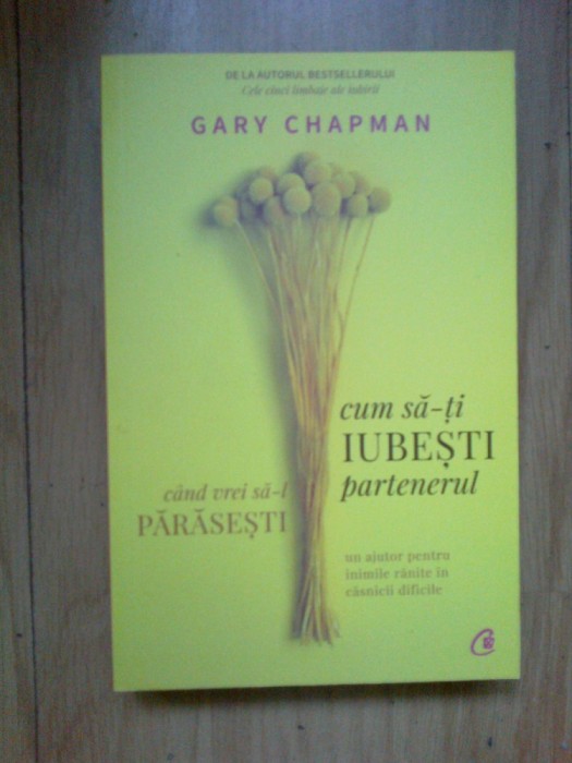 n6 Cum sa-ti iubesti partenerul atunci cand vrei sa-l parasesti-G. Chapman (noua