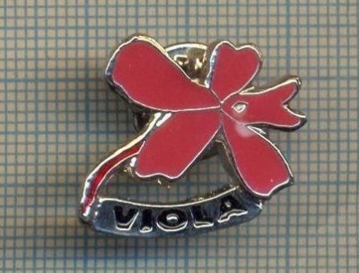 Y 523 INSIGNA - VIOLA - PENTRU COLECTIONARI foto