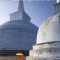 The Rough Guide to Sri Lanka