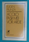 Eugen Frunza &ndash; Acolo pasii mei vor arde ( versuri )