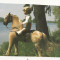 TD2 -Carte Postala- GERMANIA - Kathe Kruse Puppe, necirculata