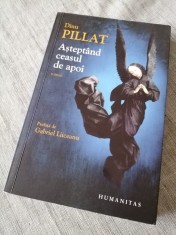 Dinu Pillat - Aștept&acirc;nd ceasul de apoi