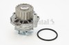 CONTINENTAL CTAM WP6005 Pompă de apă, răcire motor