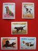 FUJEIRA, C&Acirc;INI - SERIE COMPLETĂ MNH, Nestampilat
