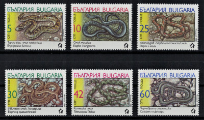 BULGARIA 1989 - Reptile, serpi/ serie completa MNH foto