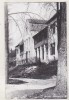 Bnk cp Bazna - Pavilionul nr 4 - circulata, Printata
