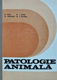 Cumpara ieftin Patologie Animala, Octavian Popa, 1976, Editura Didactica, 343 pagini, Coperta Cartonata, Medicina Veterinara