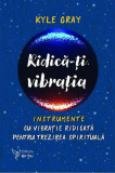 Ridică-ți vibrația - Paperback brosat - Kyle Gray - For You