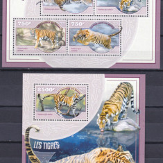 DB1 Fauna Niger Speciile de Tigri MS + SS MNH