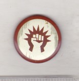 Bnk ins MTG - Magic the Gathering Guild Pin - insigna de ghilda Boros, Europa