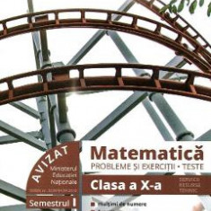 Matematica. Probleme si exercitii. Teste - Clasa 10 Sem.1 - Marius Burtea, Georgeta Burtea