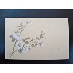 Carte postala, flori de primavara, inceput de secol XX