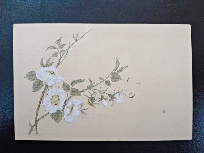 Carte postala, flori de primavara, inceput de secol XX foto