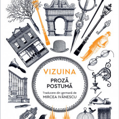 Vizuina (ebook)