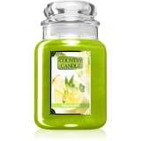 Country Candle Pineapplerita lum&acirc;nare parfumată 680 g