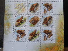 Bloc serie timbre fauna animale nestampilate Rusia WWF timbre filatelice postale foto