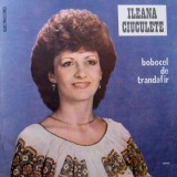Ileana Ciuculete &ndash; Bobocel de trandafir