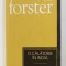O CALATORIE IN INDIA de E.M. FORSTER , 2007
