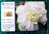 Cartelă telefonică Romtelecom Floral 10 lei 100.000 unități N28AWC exp. 01.10.2008 Bujori albi Flori Plante