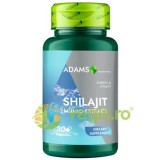 Shilajit (Mumio) 400mg 30cps