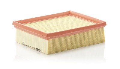MANN-FILTER C 2192 Filtru aer foto