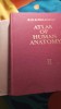 Atlas of human anatomy,r d sinelnikov,vol.ii,+voliii