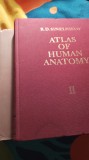 Cumpara ieftin Atlas of human anatomy,r d sinelnikov,vol.ii,+voliii