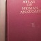 Atlas of human anatomy,r d sinelnikov,vol.ii,+voliii