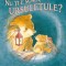 Nu ti-e somn, ursuletule? - de Martin Waddell, ilustratii de Barbara Firth