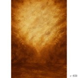 Fundal Studio Foto 1.5X2m PP Backdrop Vinyl Wall Backgrounds C-850, Generic