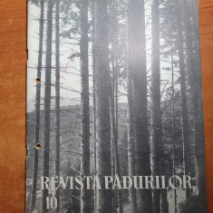 revista padurilor octombrie 1962-regiunea bacau,drumul auro forestier cislau