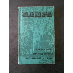 ION BUCHERU - FRUMSUL COTIDIAN. FATA NEVAZUTA A LUM(N)II