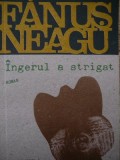 Ingerul a strigat - Fanus Neagu