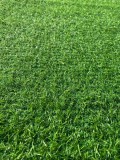 Cumpara ieftin Gazon Artificial, Lungime Fir 15 mm, Latime 1m, Marime 100 x 200 cm, Verde, Imitatie Gazon Natural, Antialergic, Polipropilena, Curte, Terasa, Balcon,