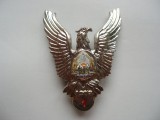 ROMANIA - INSIGNA MILITARA AVIATIE - PILOT CL. 1, MODEL 1977, RSR, IM1.204