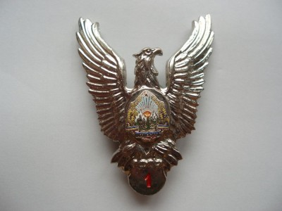 ROMANIA - INSIGNA MILITARA AVIATIE - PILOT CL. 1, MODEL 1977, RSR, IM1.204 foto