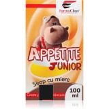 FarmaClass Industry Appetite Junior sirop pentru susținerea imunității și a digestiei pentru copii 100 ml