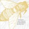Song of Increase: Listening to the Wisdom of Honeybees for Kinder Beekeeping and a Better World
