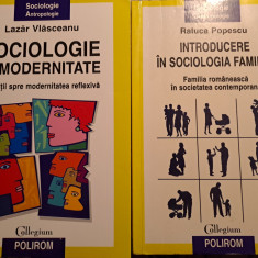 Sociologia familiei/ modernitate, 2 lucrari