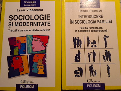 Sociologia familiei/ modernitate, 2 lucrari foto