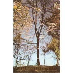 Romanțe (III)