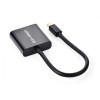 Convertor activ Mini DisplayPort (masculin) la DVI 24+5 (feminin)