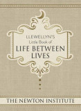 Llewellyn&#039;s Little Book of Life Between Lives