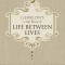 Llewellyn&#039;s Little Book of Life Between Lives